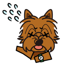 iinu - Norwich Terrier sticker #10047823