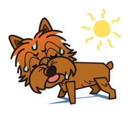 iinu - Norwich Terrier sticker #10047829