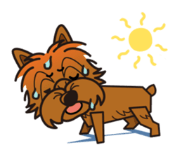 iinu - Norwich Terrier sticker #10047829