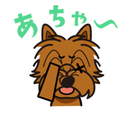 iinu - Norwich Terrier sticker #10047834