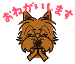 iinu - Norwich Terrier sticker #10047839