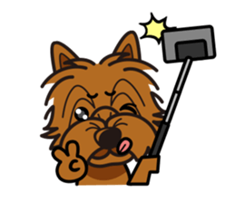 iinu - Norwich Terrier sticker #10047844