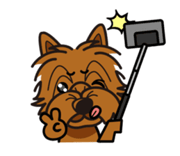 iinu - Norwich Terrier sticker #10047844