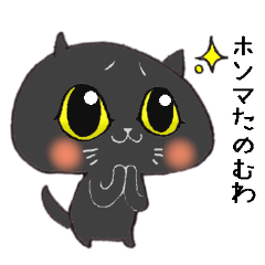 Kansai accent black cats
