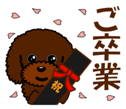 Pretty poodle(Spring) sticker #10049355