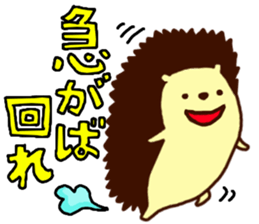 Hedgehog  Halil 2nd version sticker #10050057