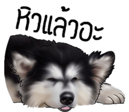 PUGZING&FRIENDS sticker #10050528