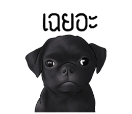 PUGZING&FRIENDS sticker #10050529