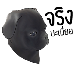 PUGZING&FRIENDS sticker #10050530