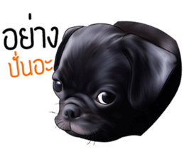 PUGZING&FRIENDS sticker #10050535