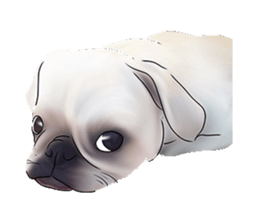 PUGZING&FRIENDS sticker #10050552