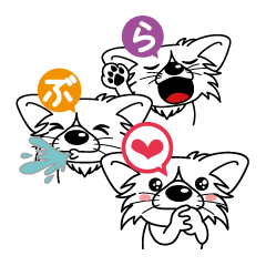 "AIUEO" of the little Rascal "Hime" 2nd