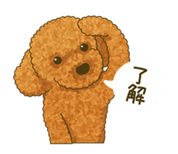 Toto the Toy poodle sticker #10052211