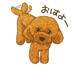 Toto the Toy poodle sticker #10052212