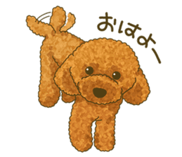 Toto the Toy poodle sticker #10052212