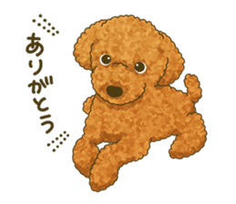 Toto the Toy poodle sticker #10052213