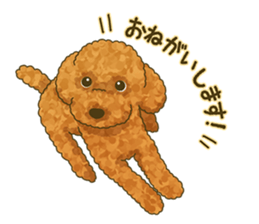 Toto the Toy poodle sticker #10052214