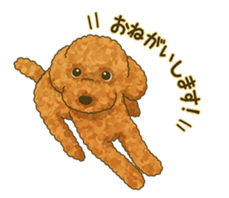 Toto the Toy poodle sticker #10052214