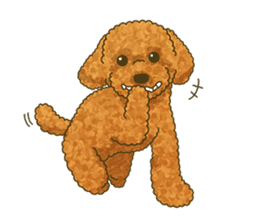 Toto the Toy poodle sticker #10052216