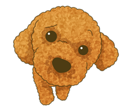 Toto the Toy poodle sticker #10052219