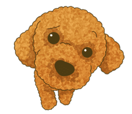 Toto the Toy poodle sticker #10052219