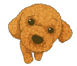 Toto the Toy poodle sticker #10052219