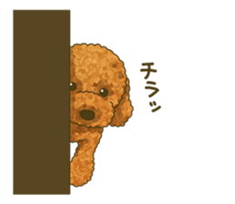 Toto the Toy poodle sticker #10052220