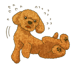 Toto the Toy poodle sticker #10052221