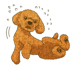 Toto the Toy poodle sticker #10052221