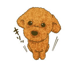 Toto the Toy poodle sticker #10052222