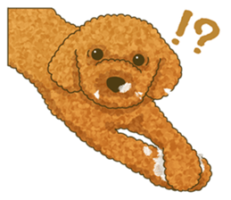 Toto the Toy poodle sticker #10052223