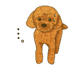 Toto the Toy poodle sticker #10052224