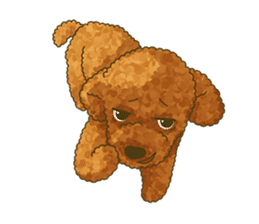 Toto the Toy poodle sticker #10052228