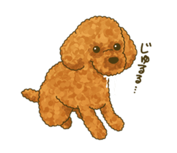 Toto the Toy poodle sticker #10052229