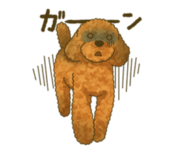 Toto the Toy poodle sticker #10052234