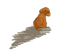 Toto the Toy poodle sticker #10052235