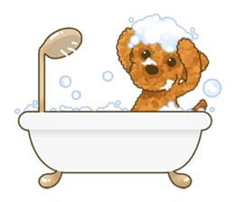 Toto the Toy poodle sticker #10052245