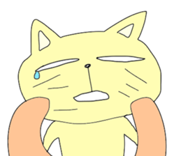 Cat & Bear sticker #10053801