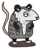 Death Manet skillful Opossum. sticker #10053888