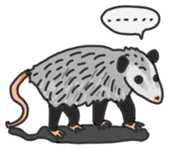 Death Manet skillful Opossum. sticker #10053927