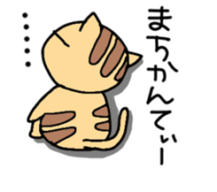 Ishigaki of tiger cat sticker #10054544