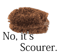 Oh my KIWI ! sticker #10054587