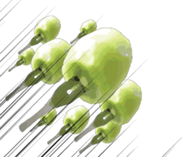 Oh my KIWI ! sticker #10054593