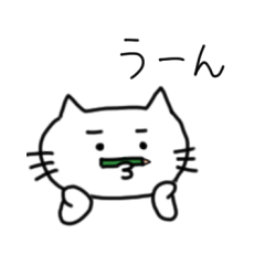 Peaceful daily life of a white cat.