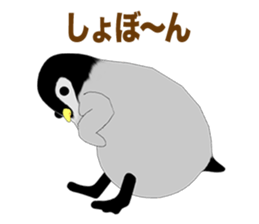 Emperor Penguin Episode 3 sticker #10054879