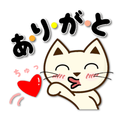 Thank you pack of the cat