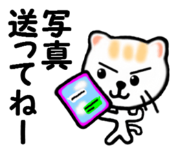 Various life of the cat sticker #10055536