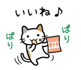 Snack cat sticker #10055770