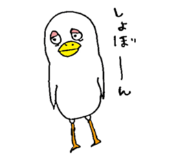 Funny and cute bird's sticker #10056732