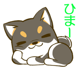Japanese Black Shiba Inu tan 2 sticker #10056809